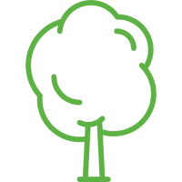 arbre