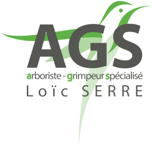 Logo_AGS Logo_AGS